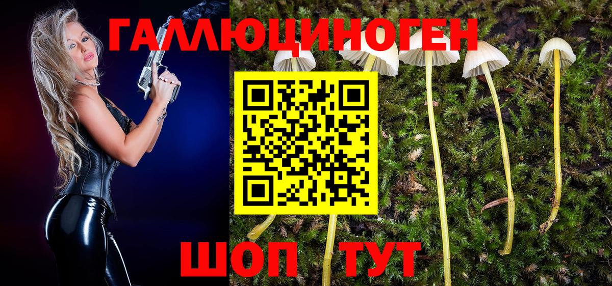 Галлюциногенные грибы мицелий Саров